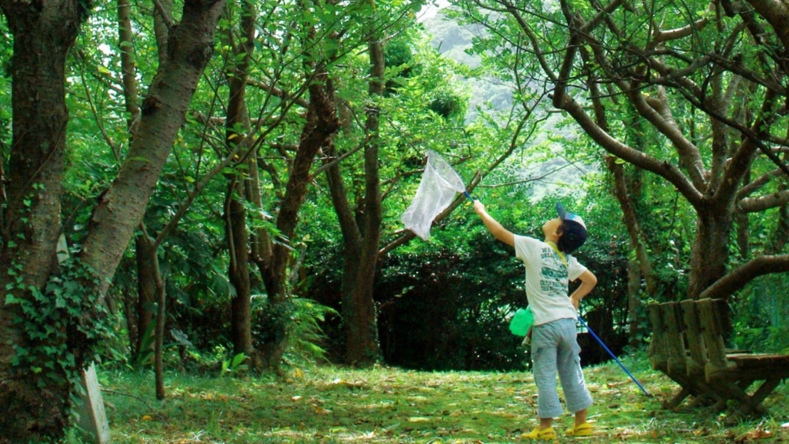 【家族わくわく自然体験】ホタル観賞・星空・昆虫採集！貸切風呂OK☆1泊2食付