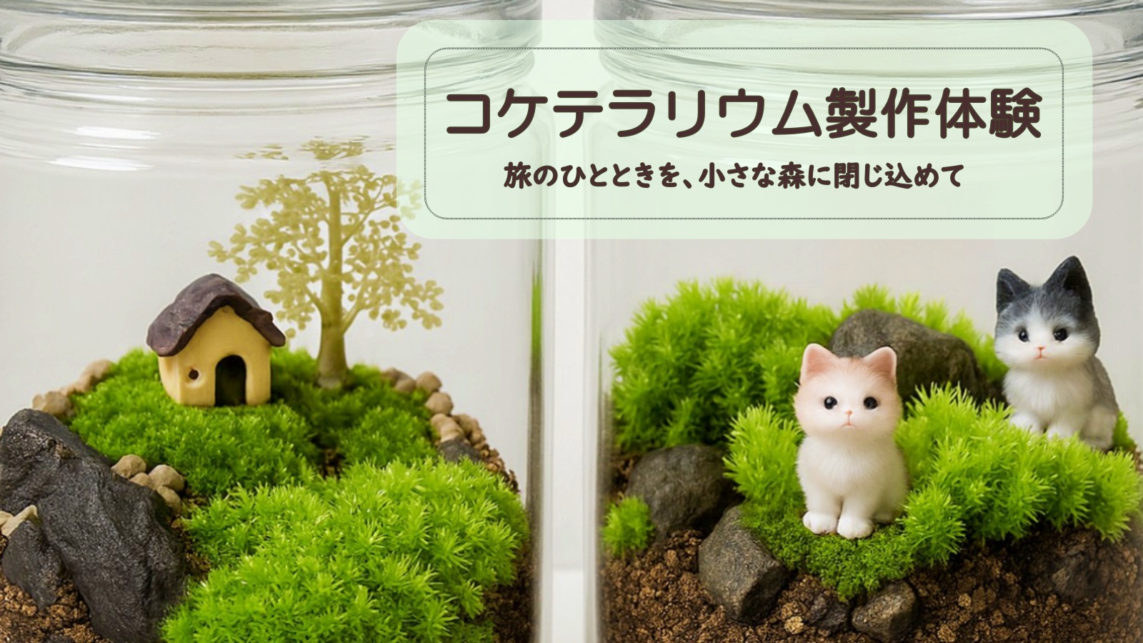 コケテラリウム制作体験♪想い出をカタチに
