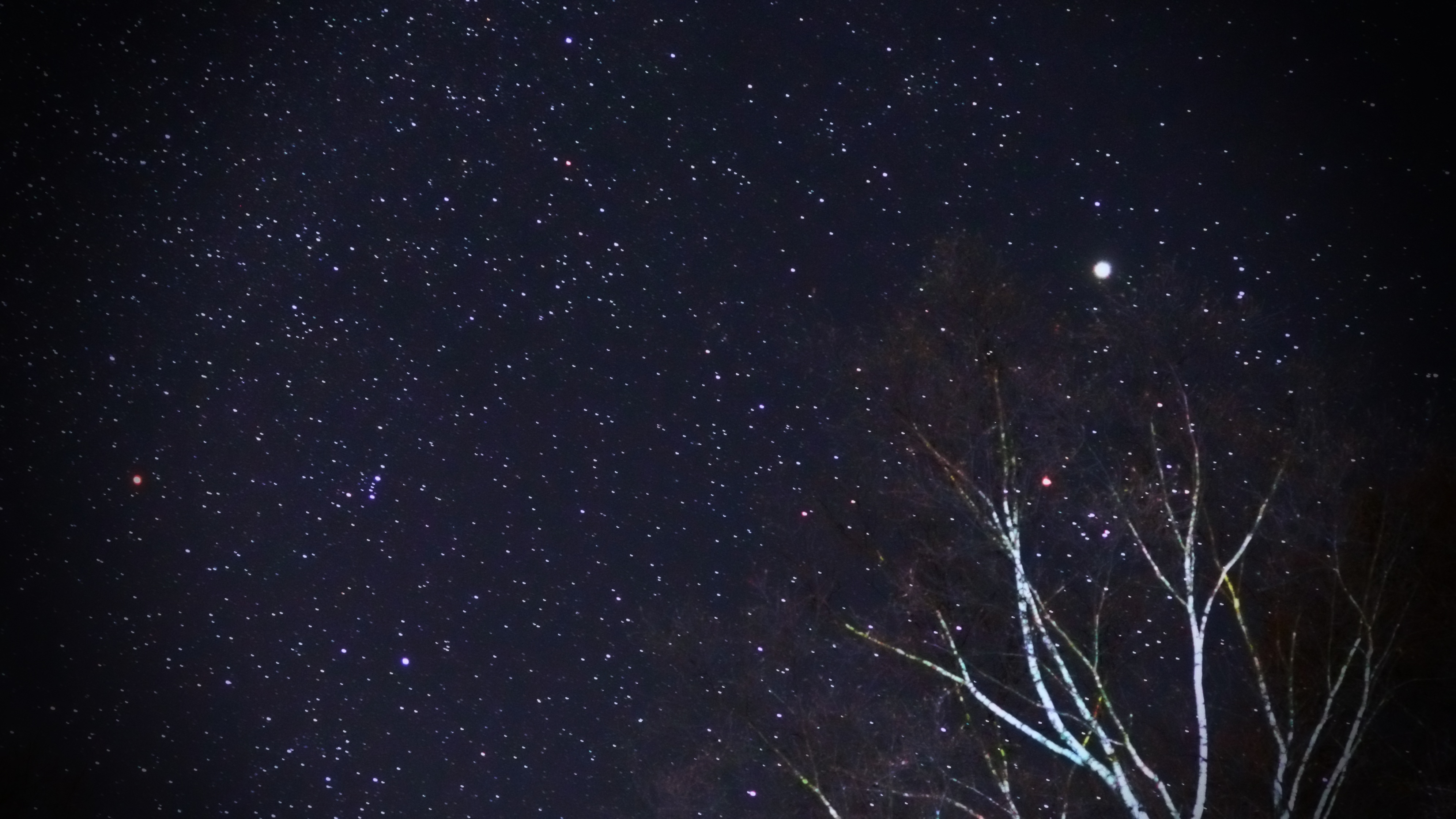駐車場からも満天の星空が楽しめます☆＊。