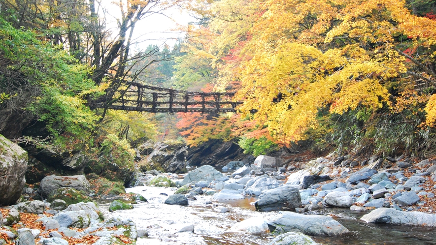 奥祖谷二重かずら橋