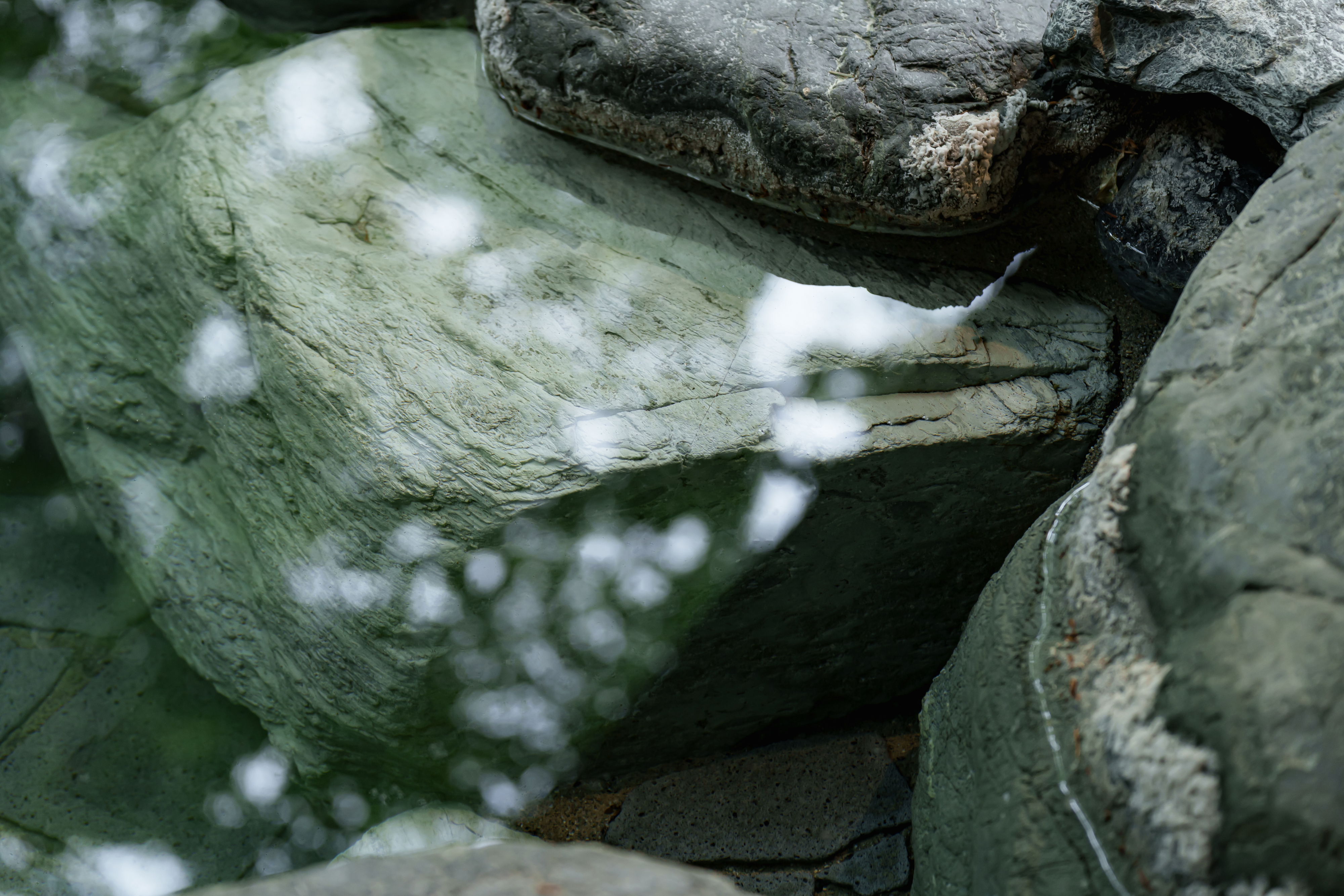温泉