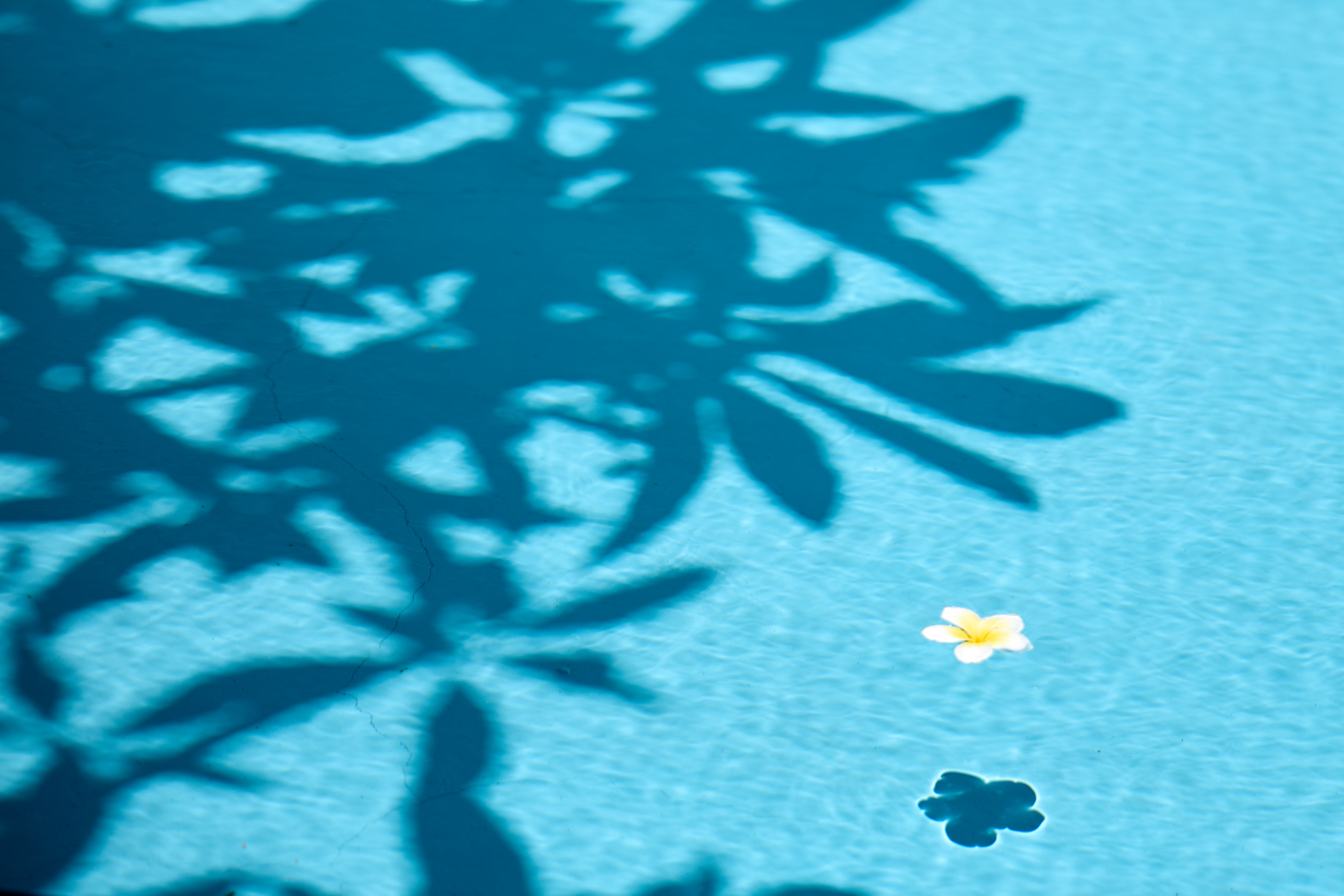 UMI TERRACE