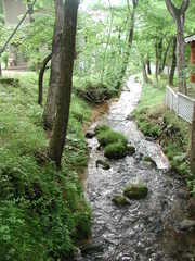 ペンション近くの小川