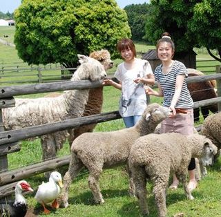 ◆マザー牧場（車で約45分）