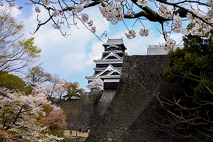 【観光】熊本城二様の石垣