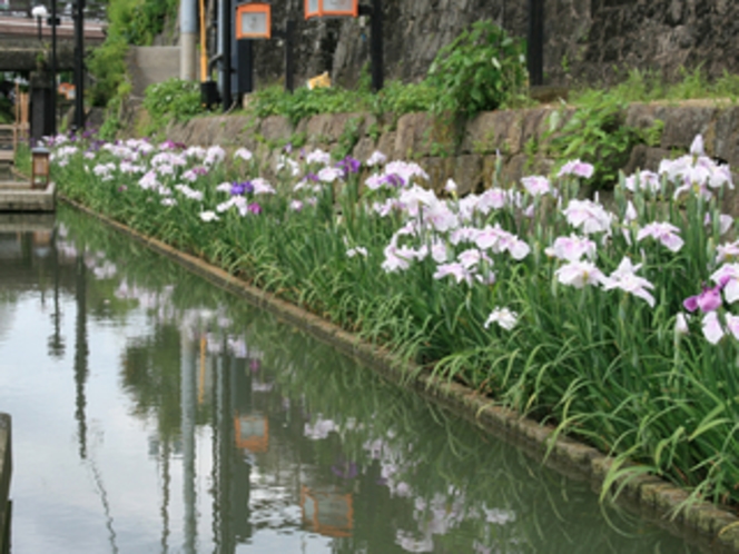 【観光】玉名高瀬裏川