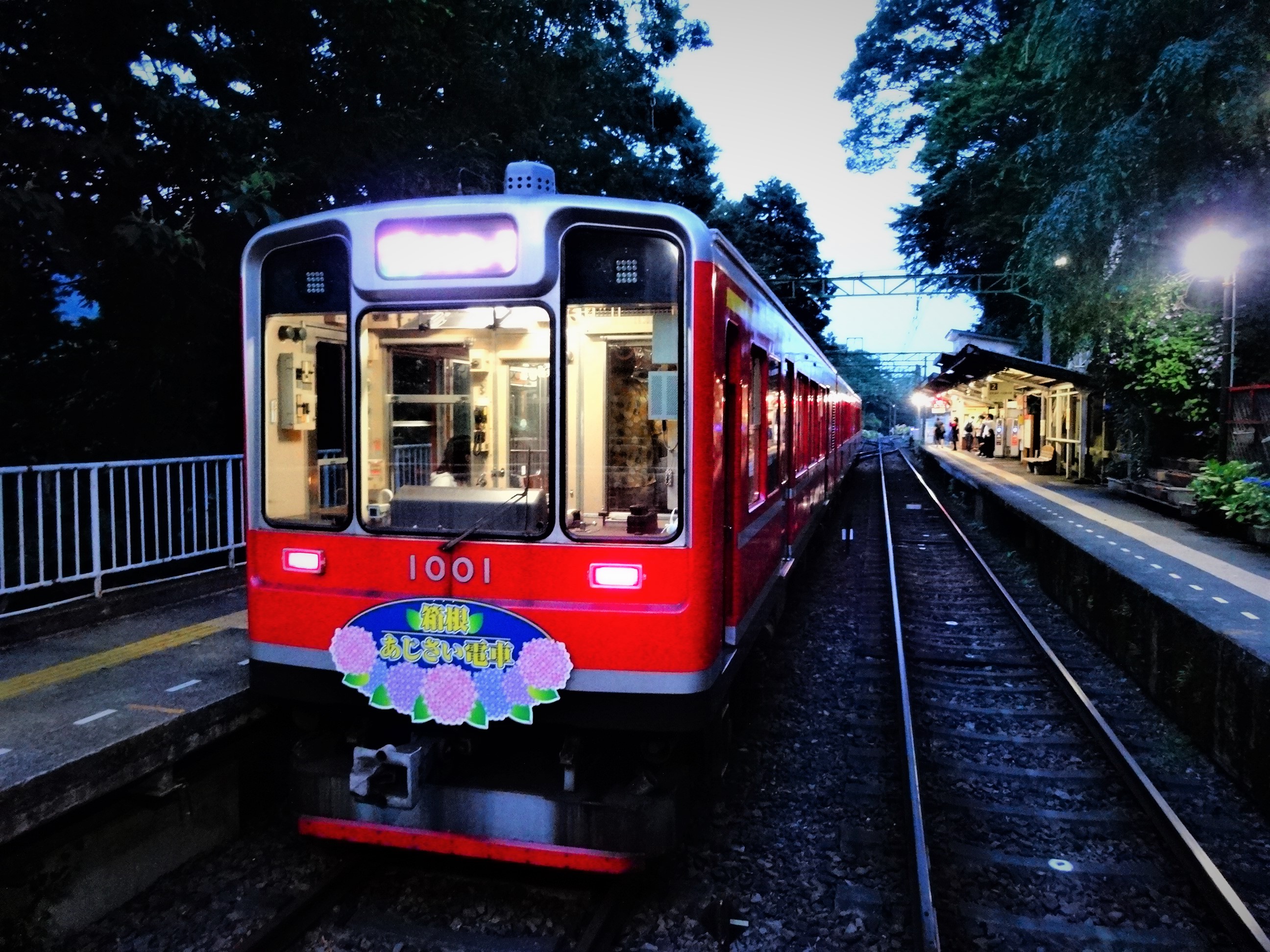 箱根登山電車（あじさい電車）