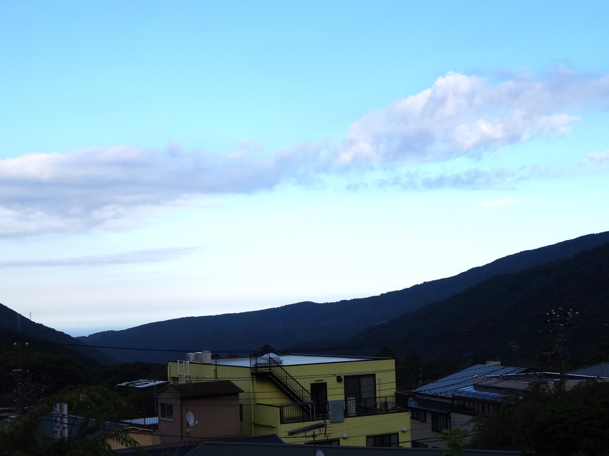 桜の部屋からの眺め