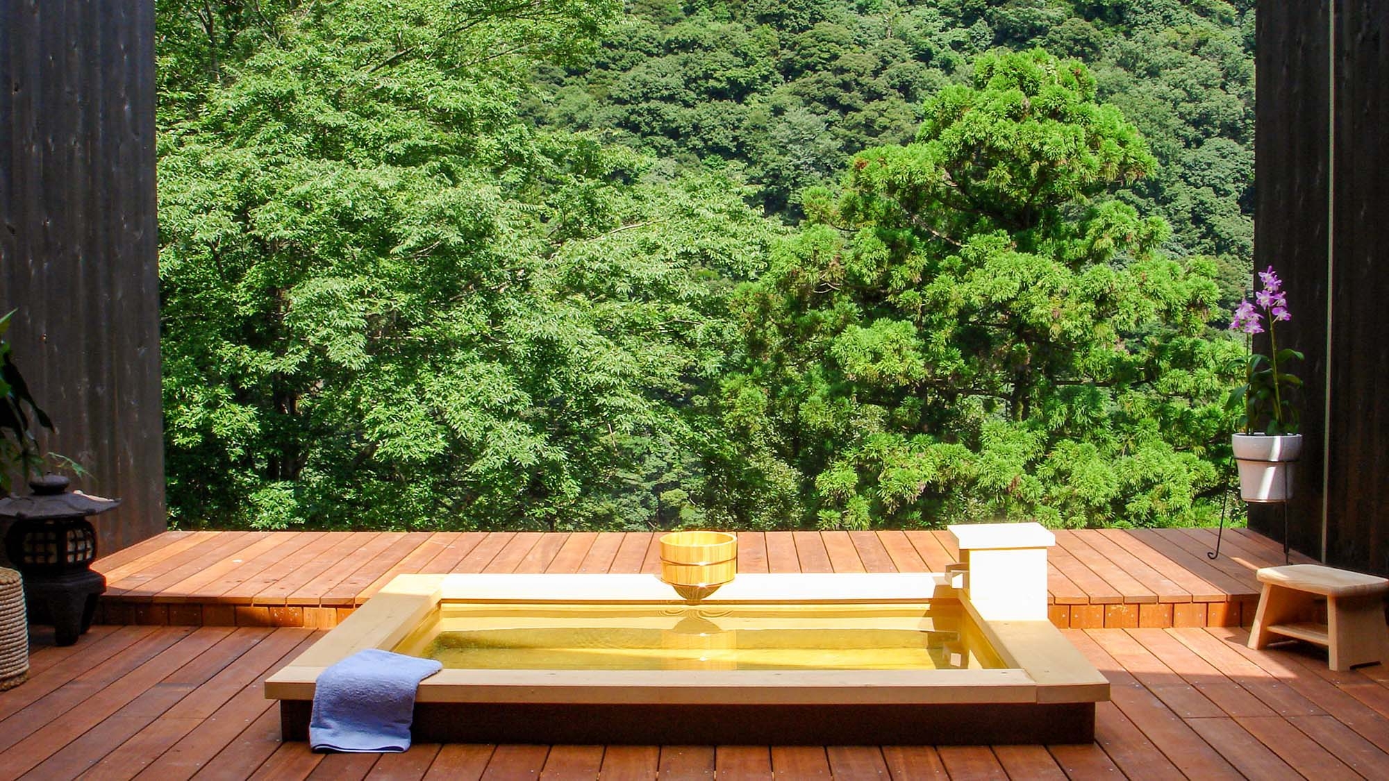 【温泉SALE】〈テラス露天風呂（半露天風呂）付客室利用・2食付〉湯坂山を眺めながら極上のバスタイム