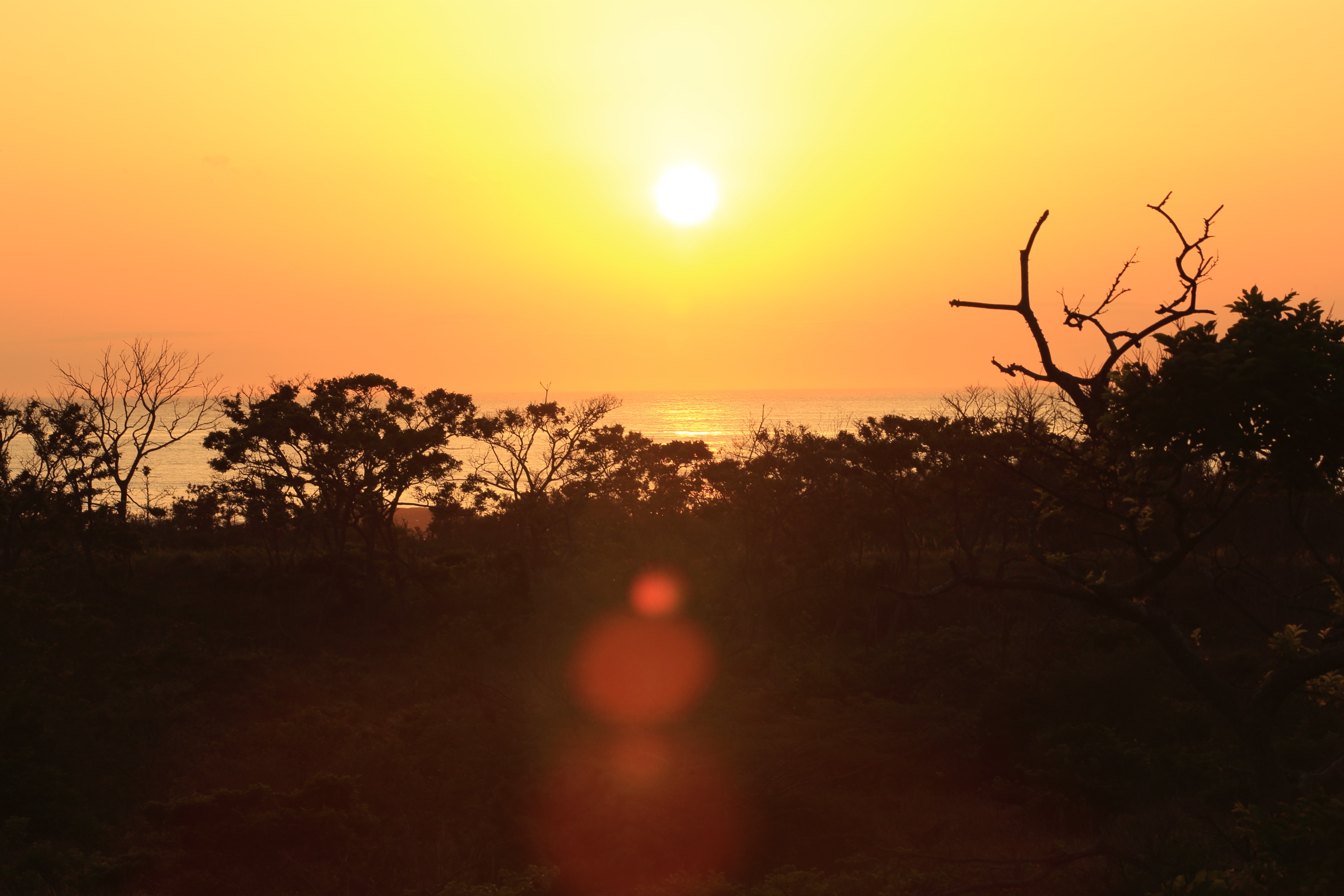 東の空サンライズ