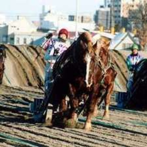 十勝ばんえい競馬