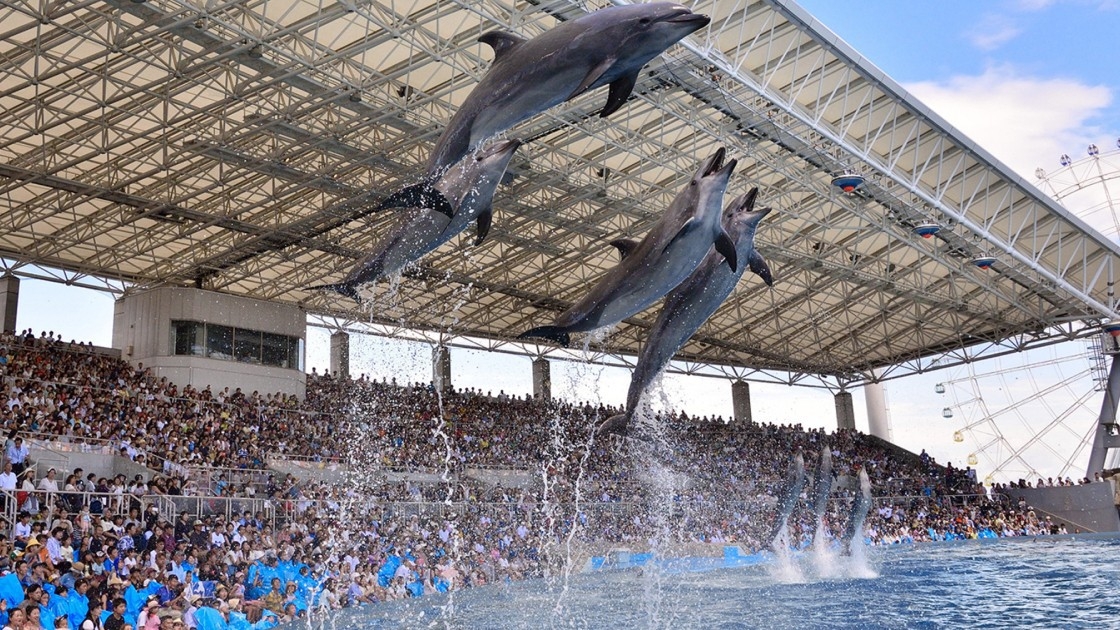 【家族旅行応援】 名古屋港水族館チケット付＆小学生以下添い寝のお子様朝食無料