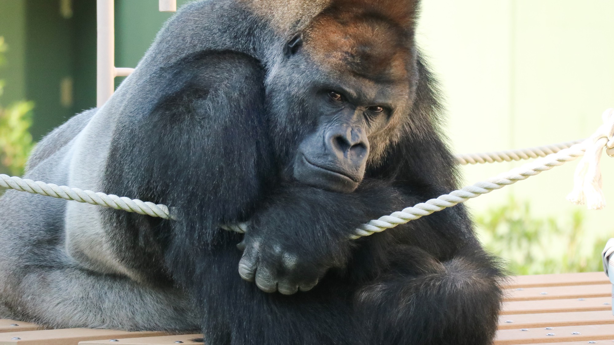 【東山動植物園】