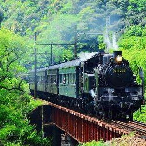 大井川鉄道のSL。乗車も撮影も楽しめます。