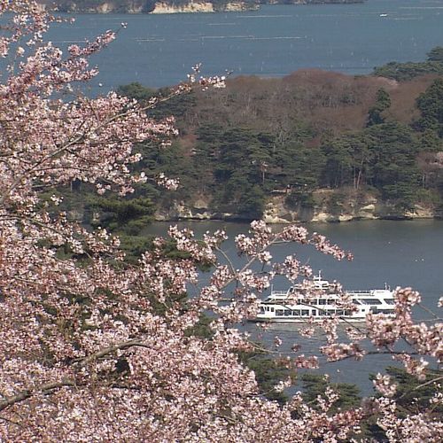 Sakura 500 500 in Matsushima Bay