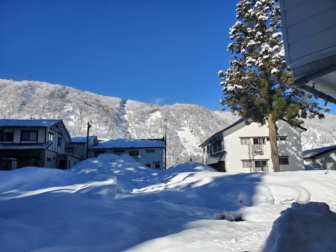 ●年末年始期間中！スキー＆ボーダー応援●コロナ対策◇１泊２食付き　４名様♪禁煙室　２〜５連泊プラン
