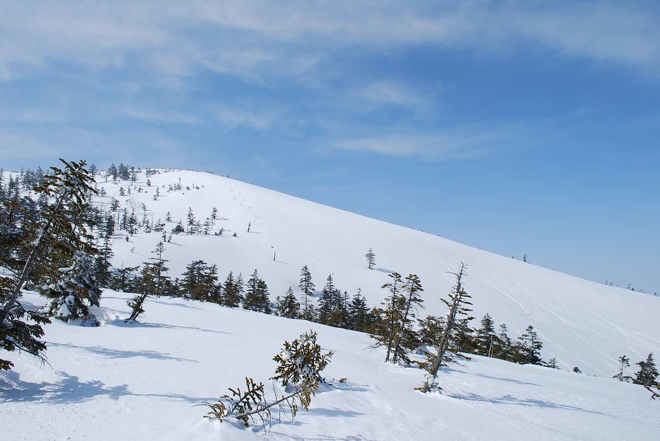 ◎年末年始期間中！スキー応援★１泊２食付き　２名様ＯＫの禁煙室・２〜５連泊プラン。