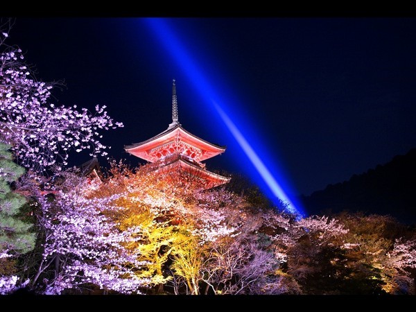 ステップイン新大阪東口 - 写真 94