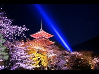 清水寺　夜桜