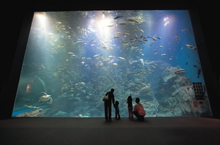 男鹿水族館GAO