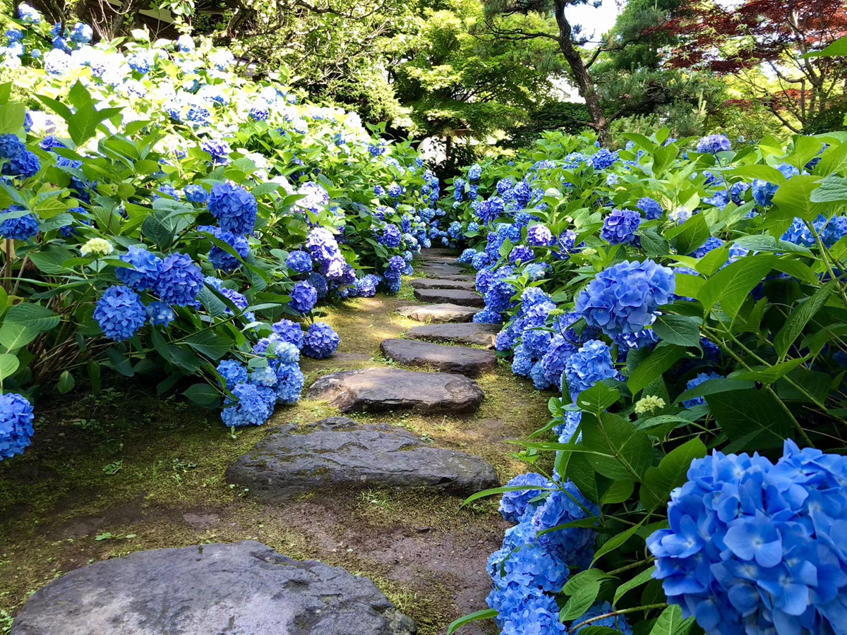 雲昌寺