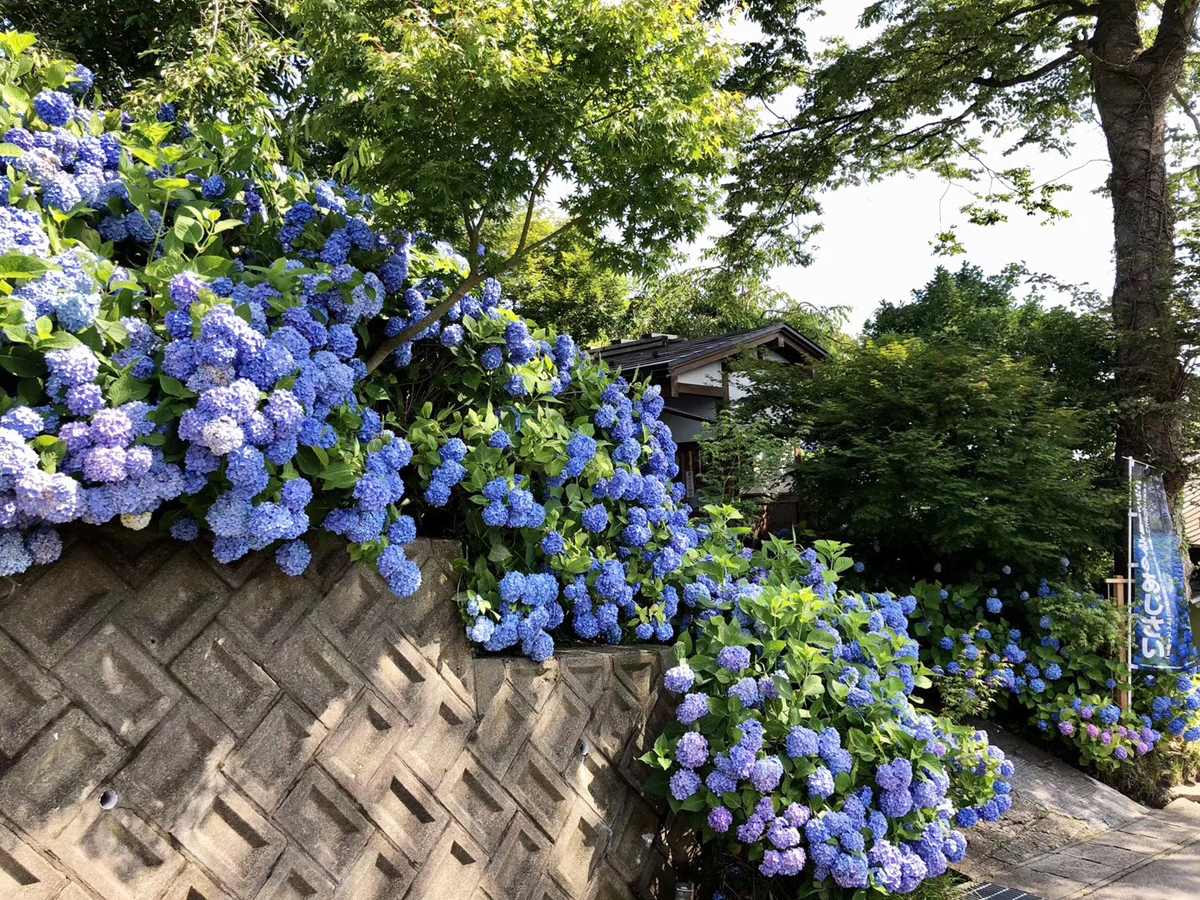 雲昌寺入口