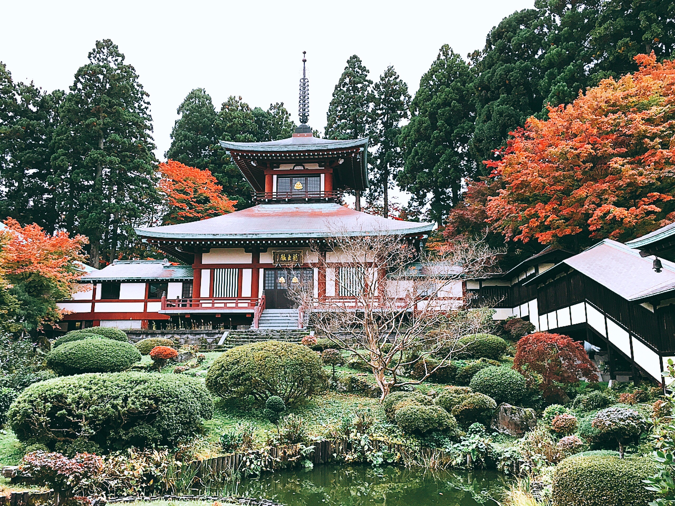 大龍寺