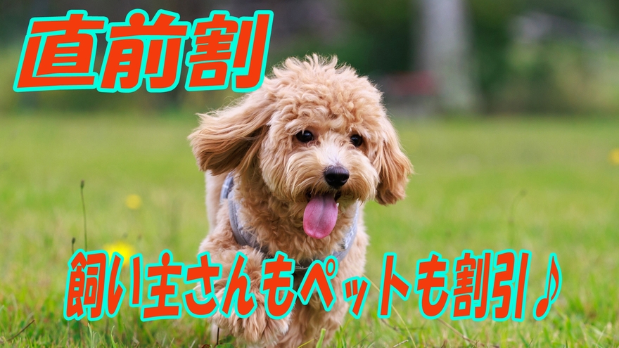 【直前割・ペットがお得♪】ペットと泊まれるセールプラン【鉢伏鍋】