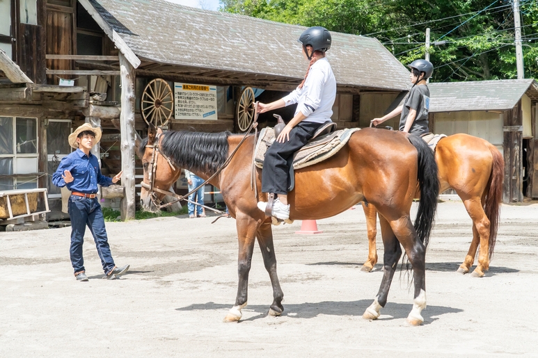 【二食付き・宿泊×乗馬　ウェルカムドリンクサービス!】初心者〜上級者まで乗馬を体験したい方に最適