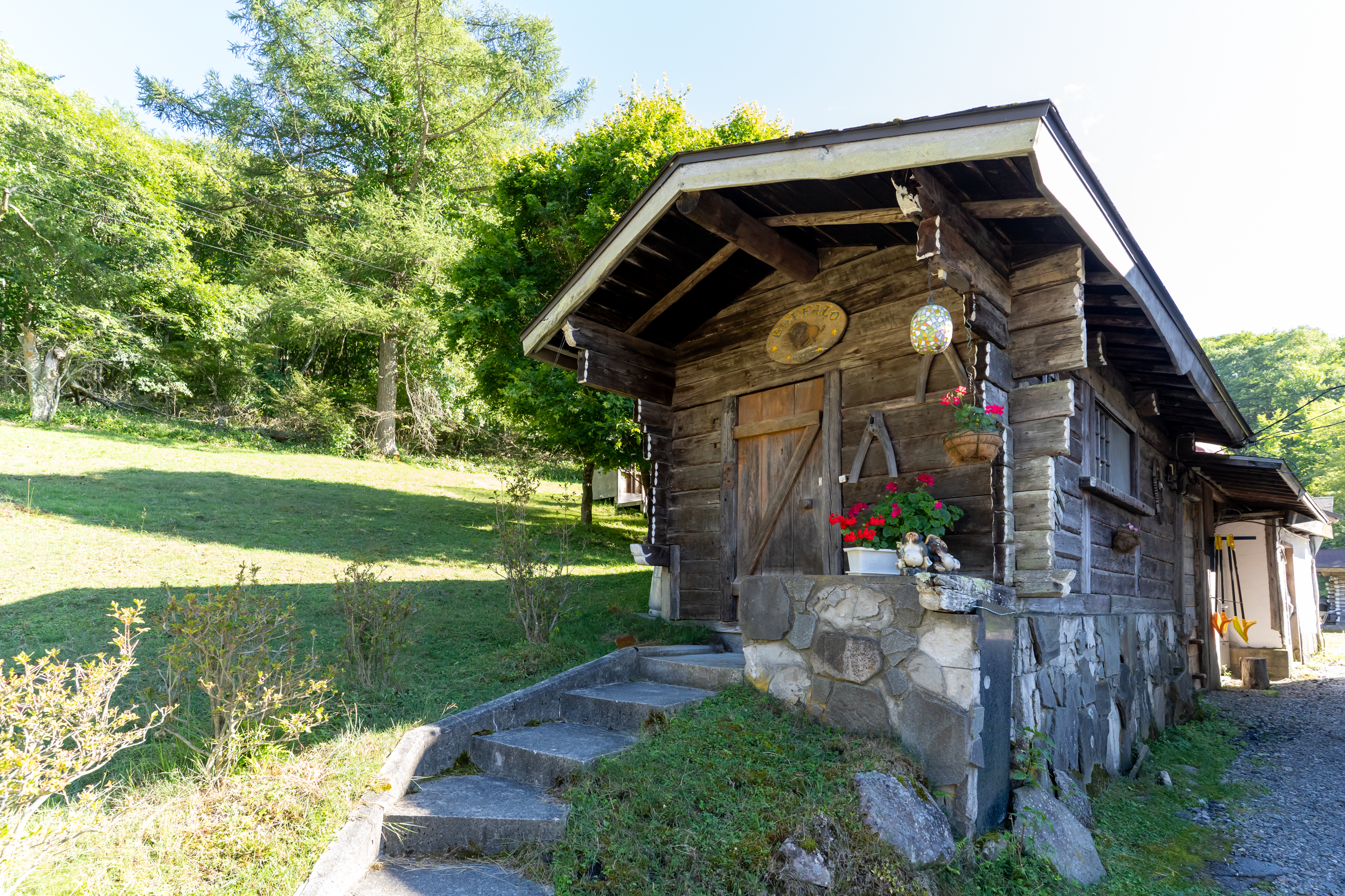 バッファロー外観