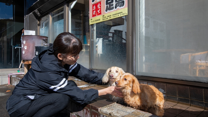 正面玄関前にあるワンちゃん用の足湯