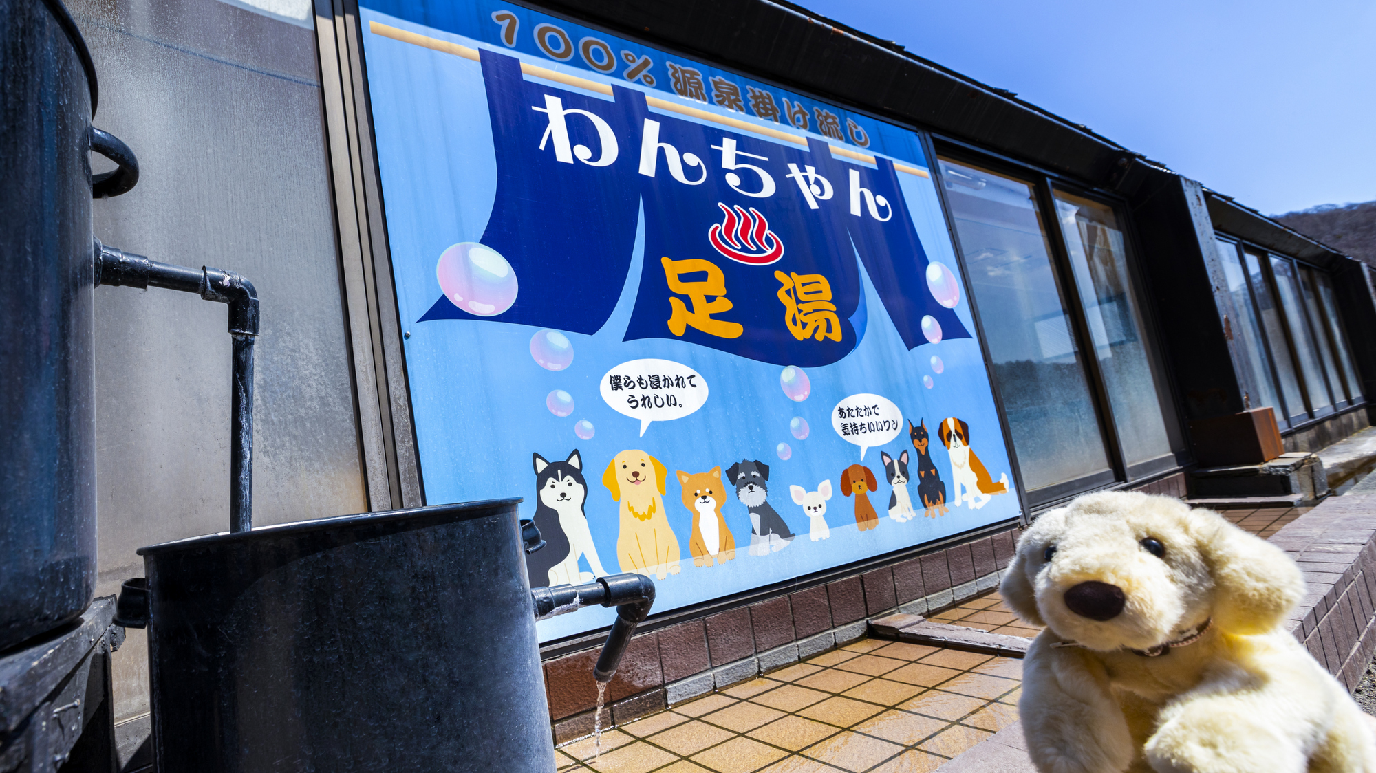 【ワンちゃん足湯】存分に遊んだ後はワンちゃんもリラックス＆リフレッシュ