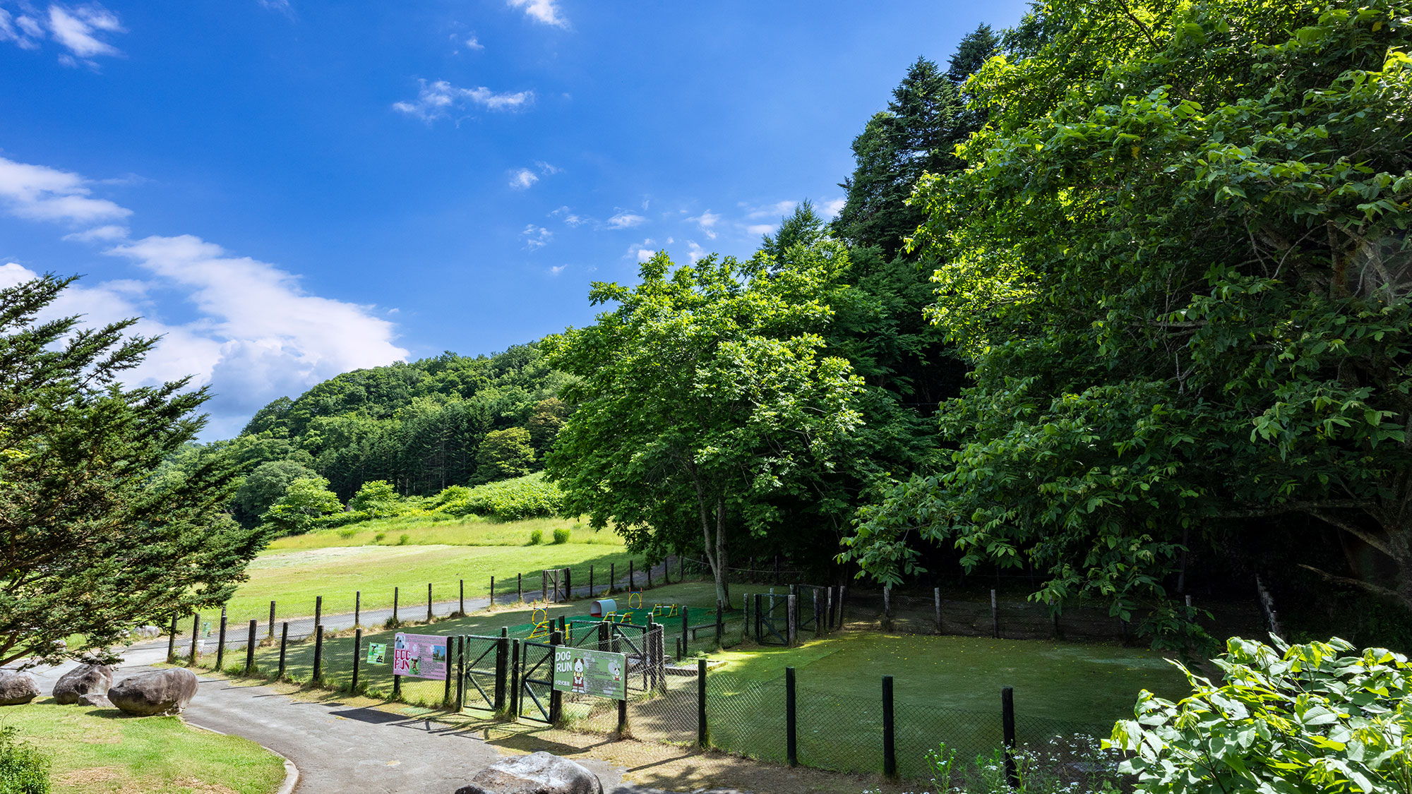 【屋外ドッグラン】広さ約930平米！2025年7月に道内旅館初のナイトドッグランがスタート／降雪前迄