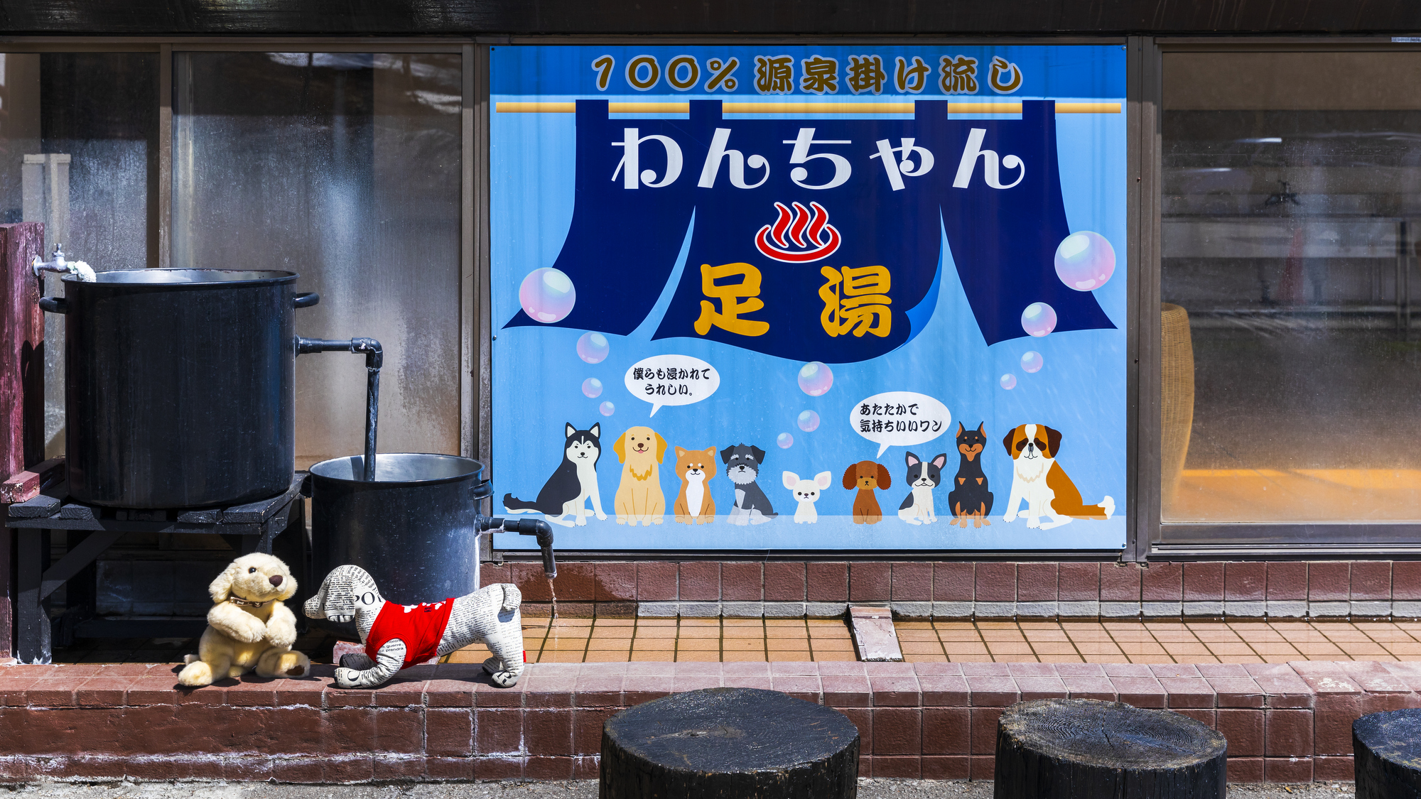 【ワンちゃん足湯】かけ流しの温泉はワンちゃんのお肌にも優しい