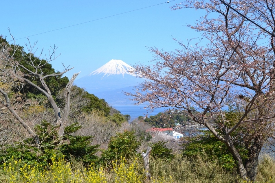 オススメ＊パワースポット＊目玉岬でゆっくりリラックスステイ♪活けアジたたき＆サザエ付☆春得お得プラン