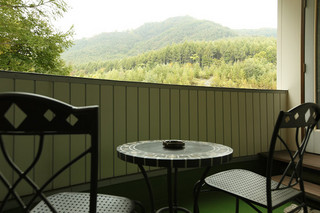 【お部屋】専用テラス付き和洋室・テラス