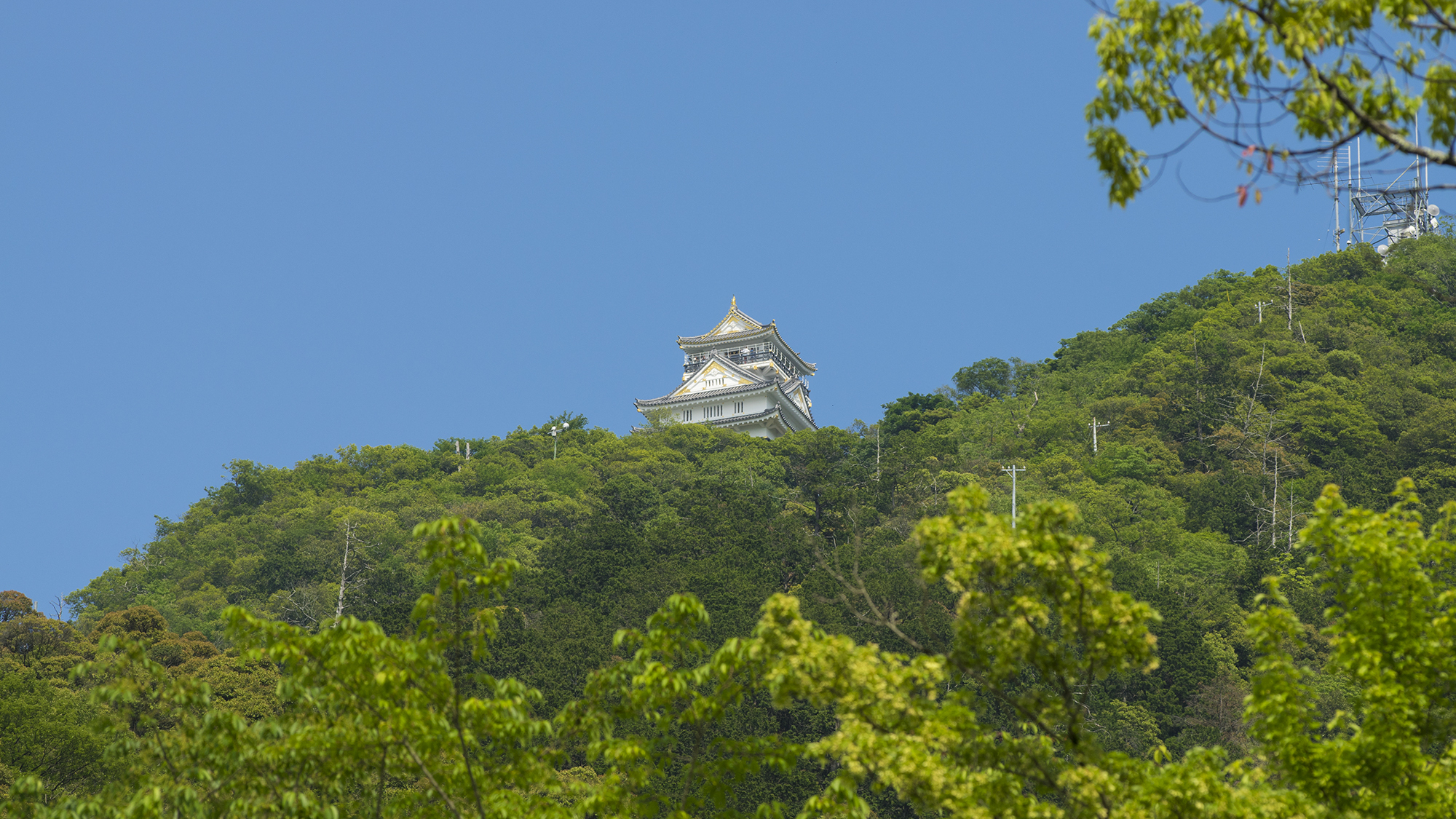 岐阜城と金華山