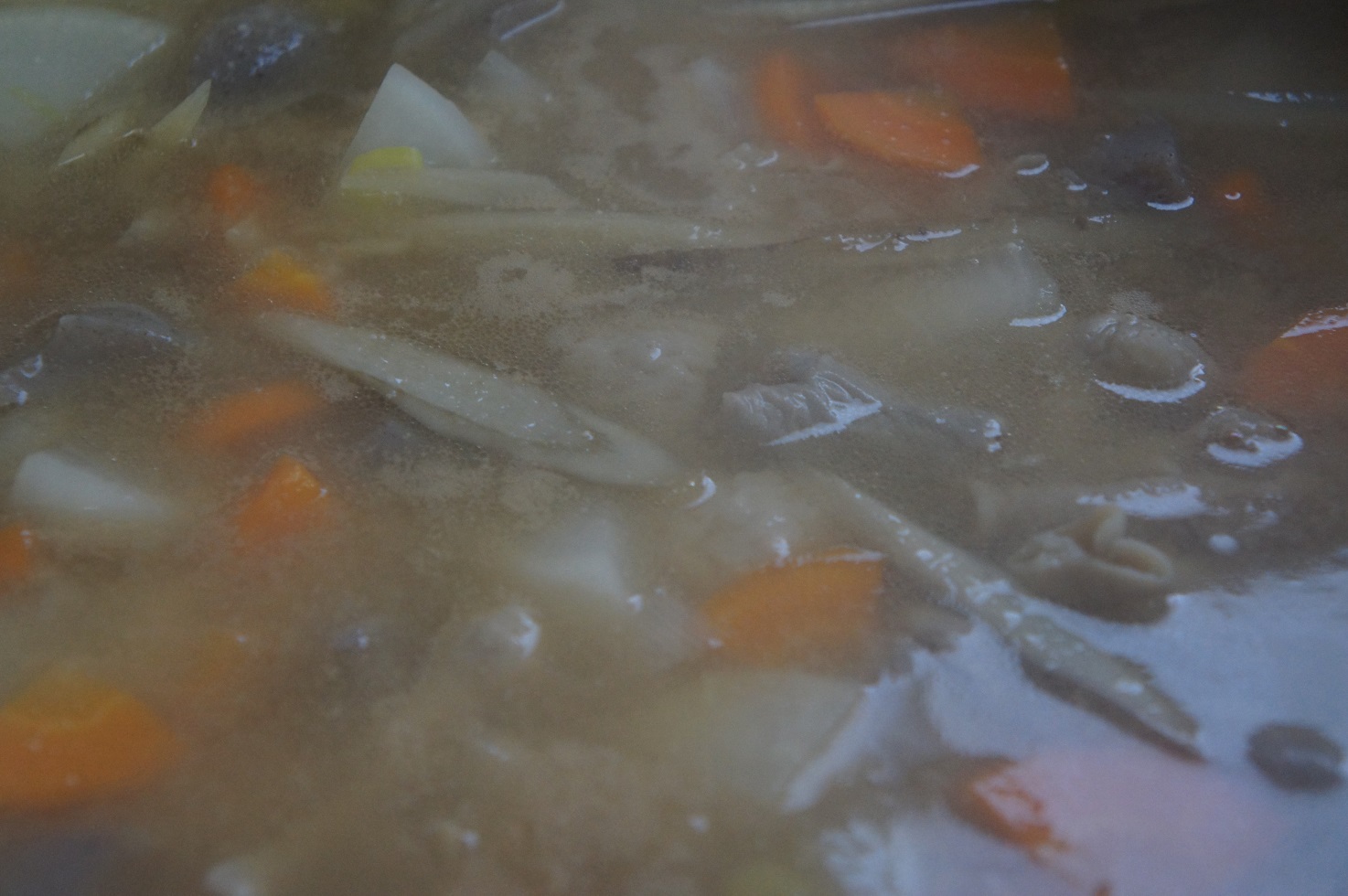 石打丸山スキー場スキー・スノボプラン　一歩でゲレンデ＆好みの食事が選べる宿（持ち込み素泊まりもOK）