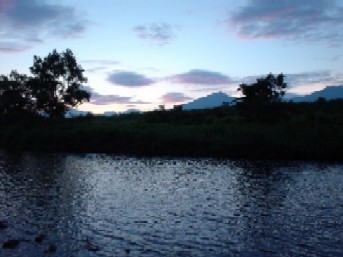 魚野川の釣り　3月のトラウトフィッシングプラン（オーナーがプロアングラーの宿）
