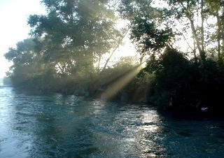 魚野川 渓流釣りプラン　オーナーがプロアングラーの宿