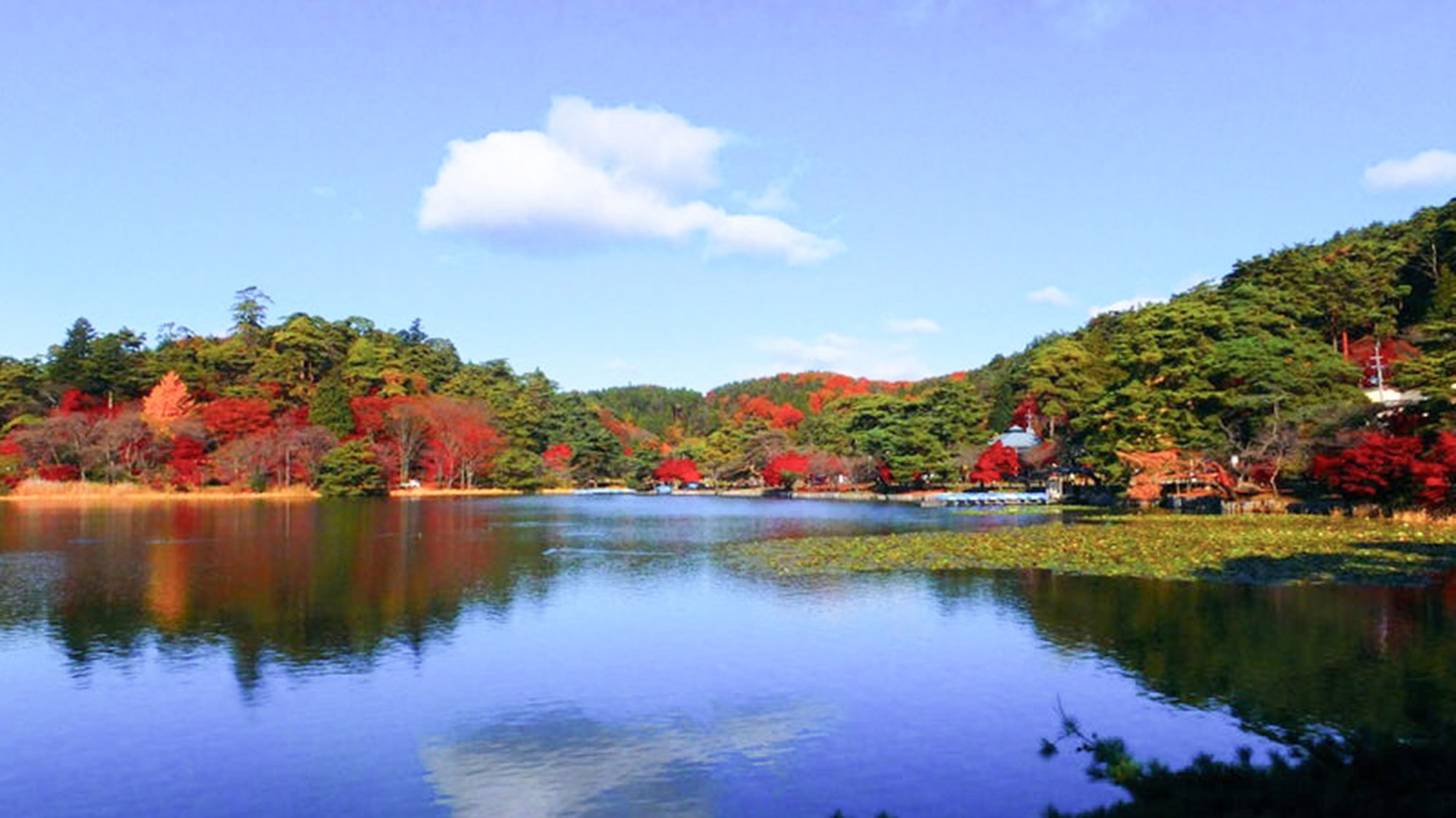 【半日観光ツアー】白河名所巡り「白河小峰城と南湖公園・だるまランド」ツアー＜お食事はバイキング＞