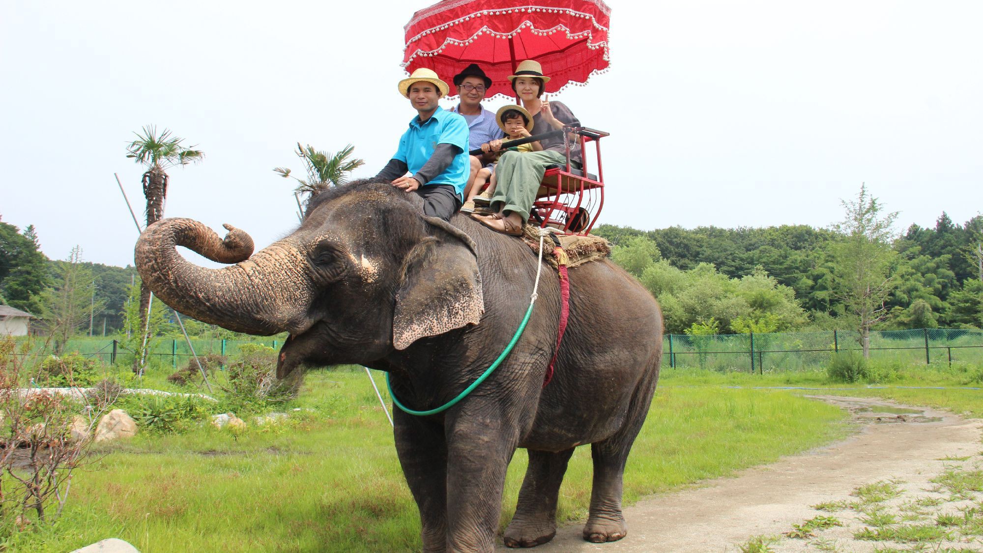 ◇【那須ワールドモンキーパーク／当館より車で約20分】世界の動物が大集合！