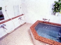 ゴールデンウイーク【素泊まり】２泊すると割引。天然温泉♪貸切露天風呂も入れます！（禁煙）