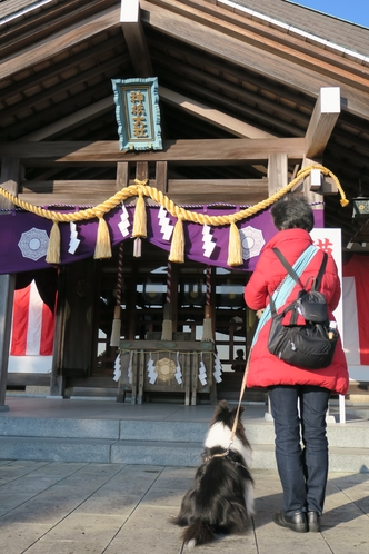 伊豆高原の神社で初詣