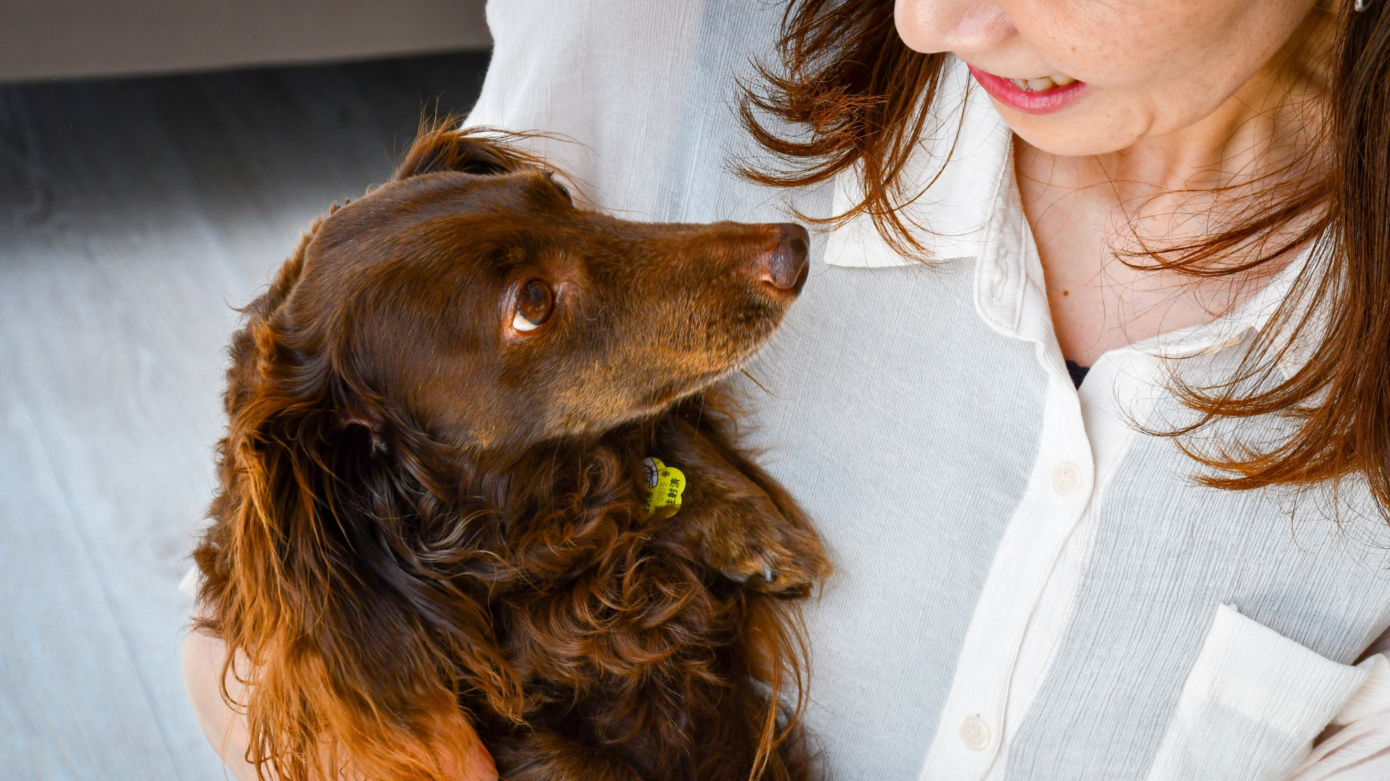 ヴィラスイートのお部屋のみ、ペット（小型犬）とご一緒にお泊りいただけます※別途有料