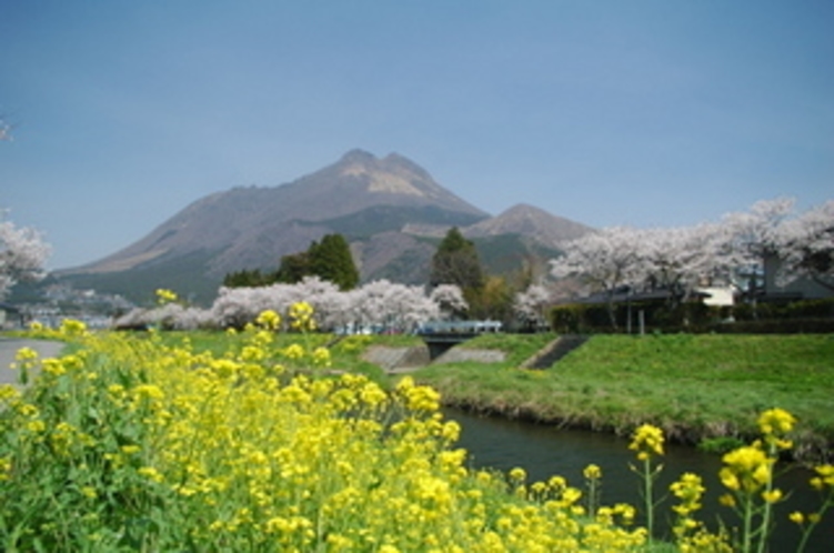 湯布院大分川の春