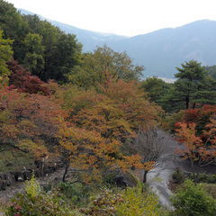 秋の風景