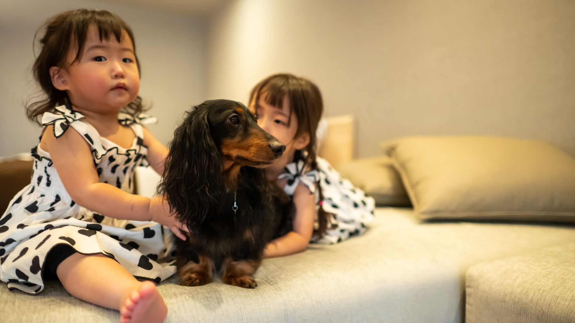 愛犬と泊まれるプレミアムツインルーム