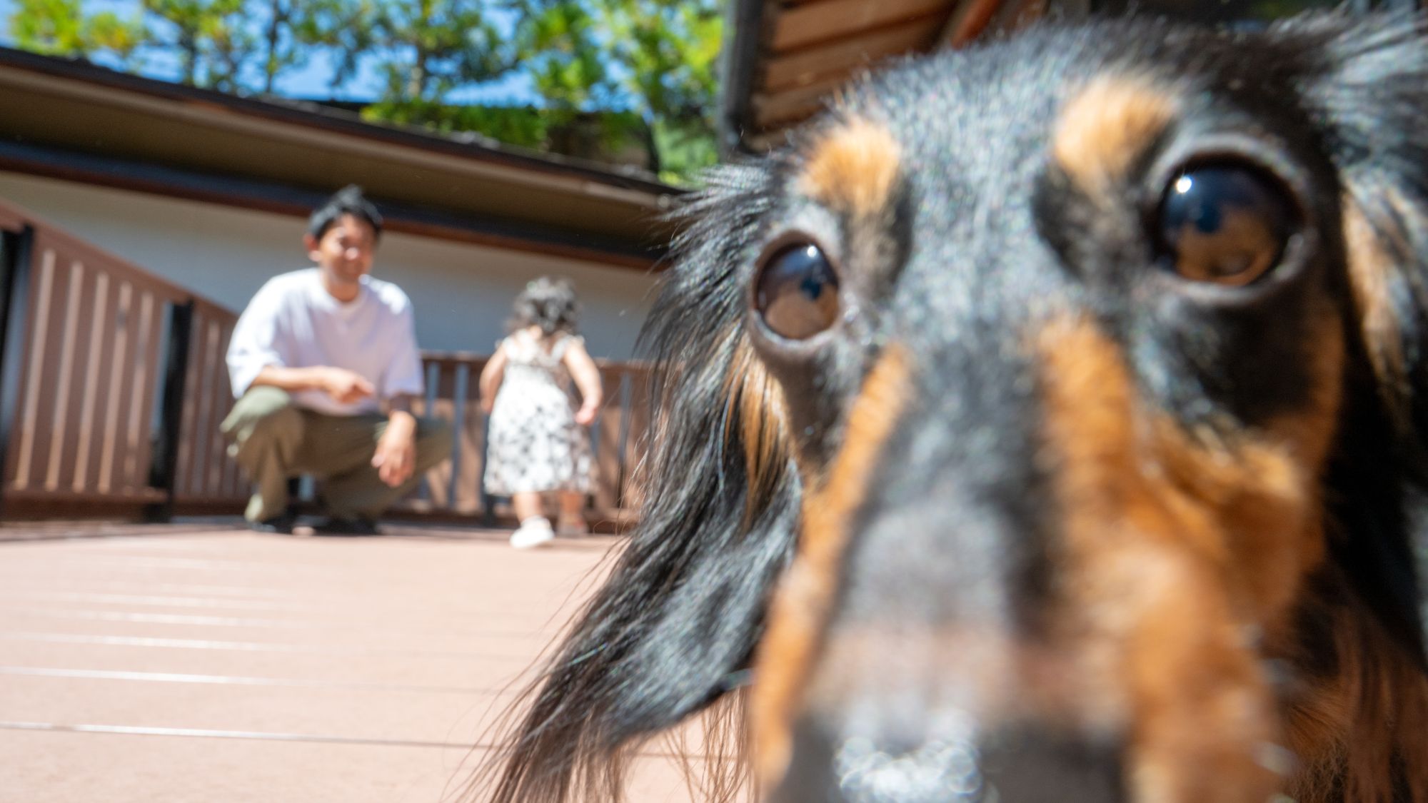 愛犬と泊まれるプレミアムツインルーム