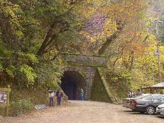 国重要文化財に指定されている旧天城トンネル（天城隧道）